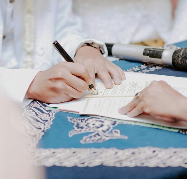 digital registry documentation summary mizwamta futsugesa alerts