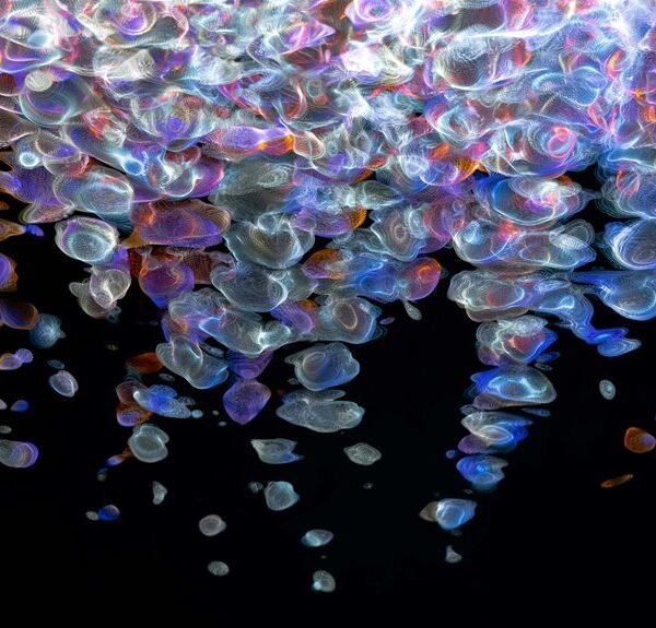 fusion beam digital flow