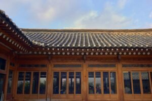 fusion orbit 910504255 growth beam